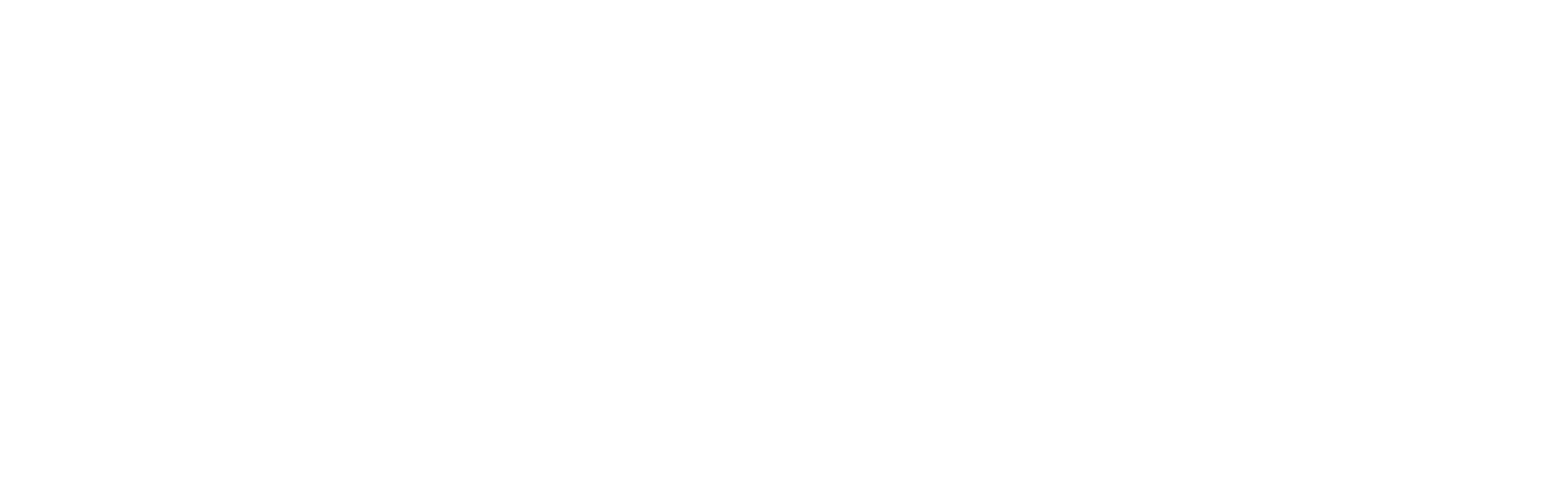 New York Department of Environmental Conservation Logo